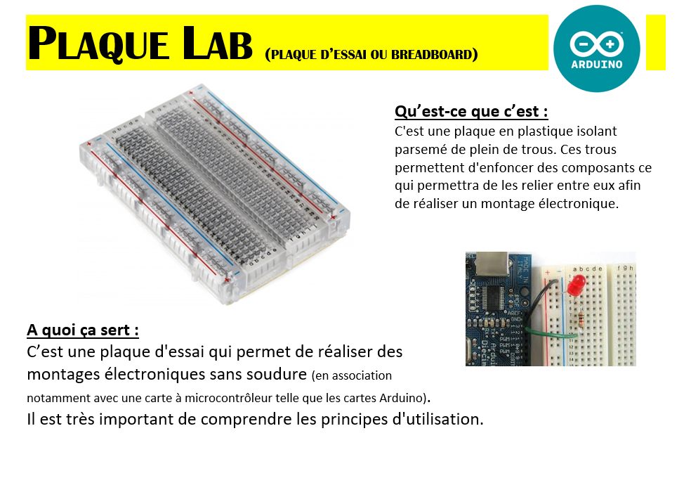 Plaque%20lab1.jpg